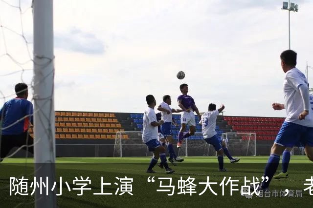 随州小学上演“马蜂大作战”，老师们暂时休战